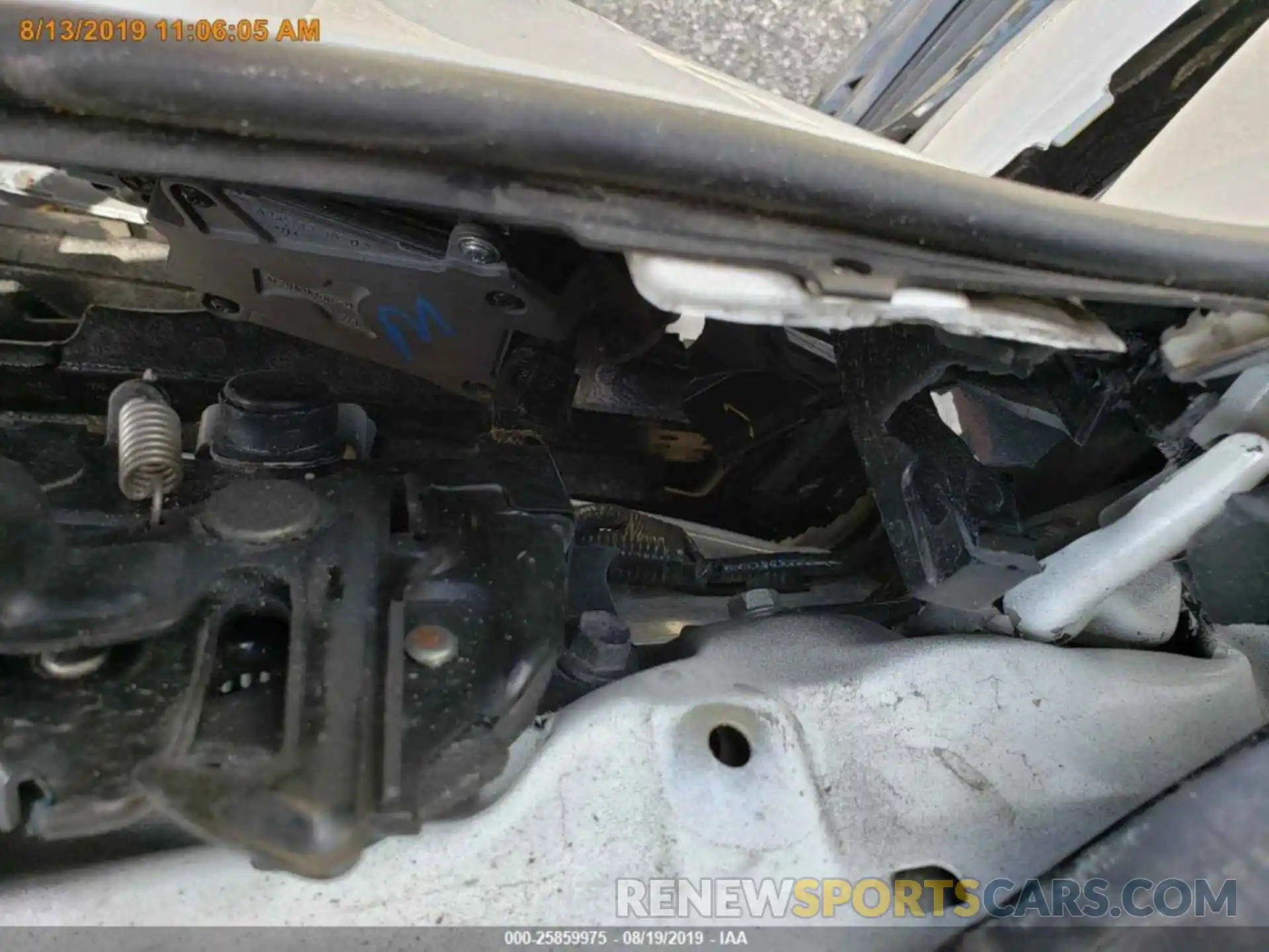 12 Photograph of a damaged car 4T1B11HK6KU684495 TOYOTA CAMRY 2019