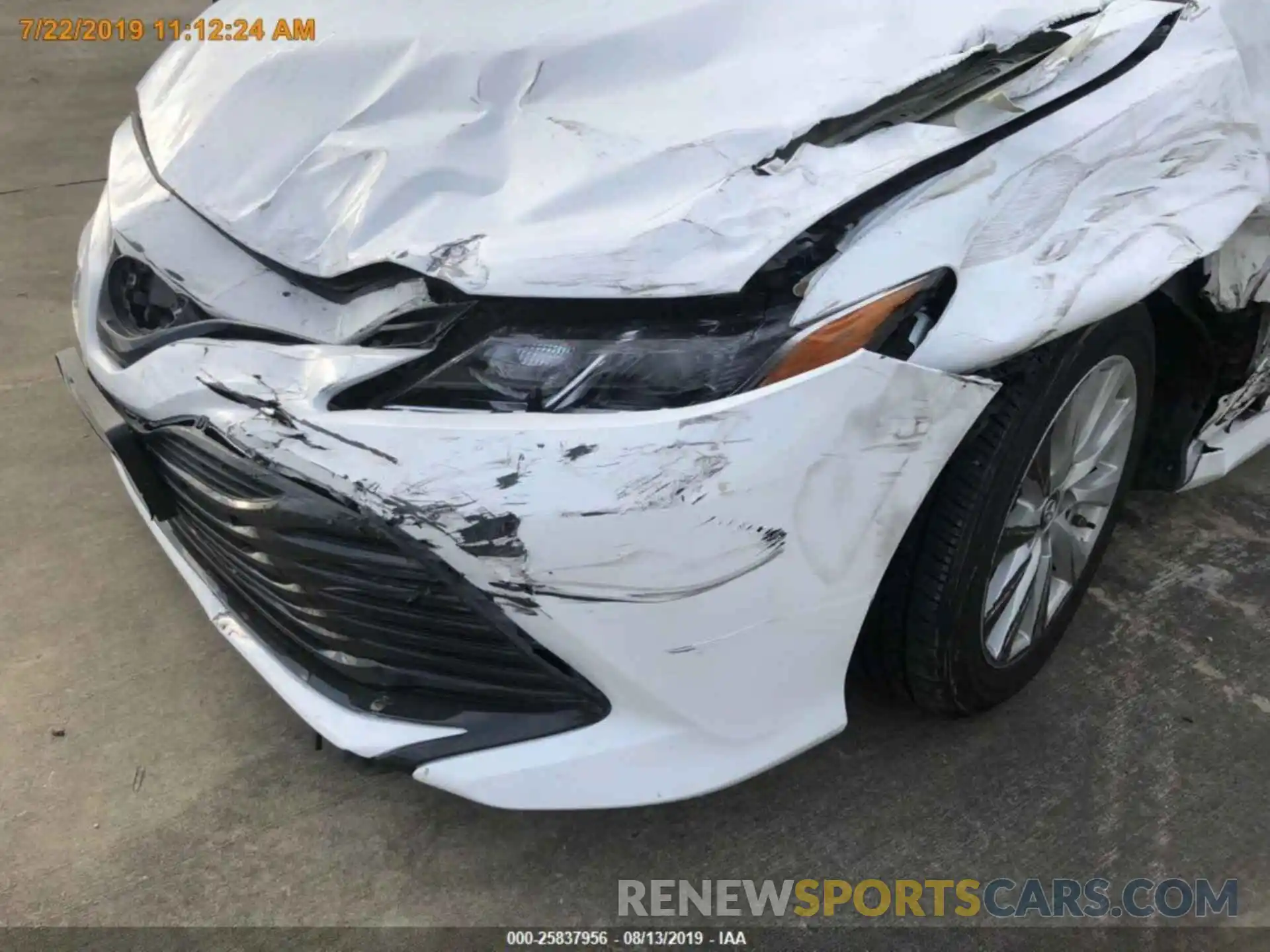 17 Photograph of a damaged car 4T1B11HK9KU772084 TOYOTA CAMRY 2019
