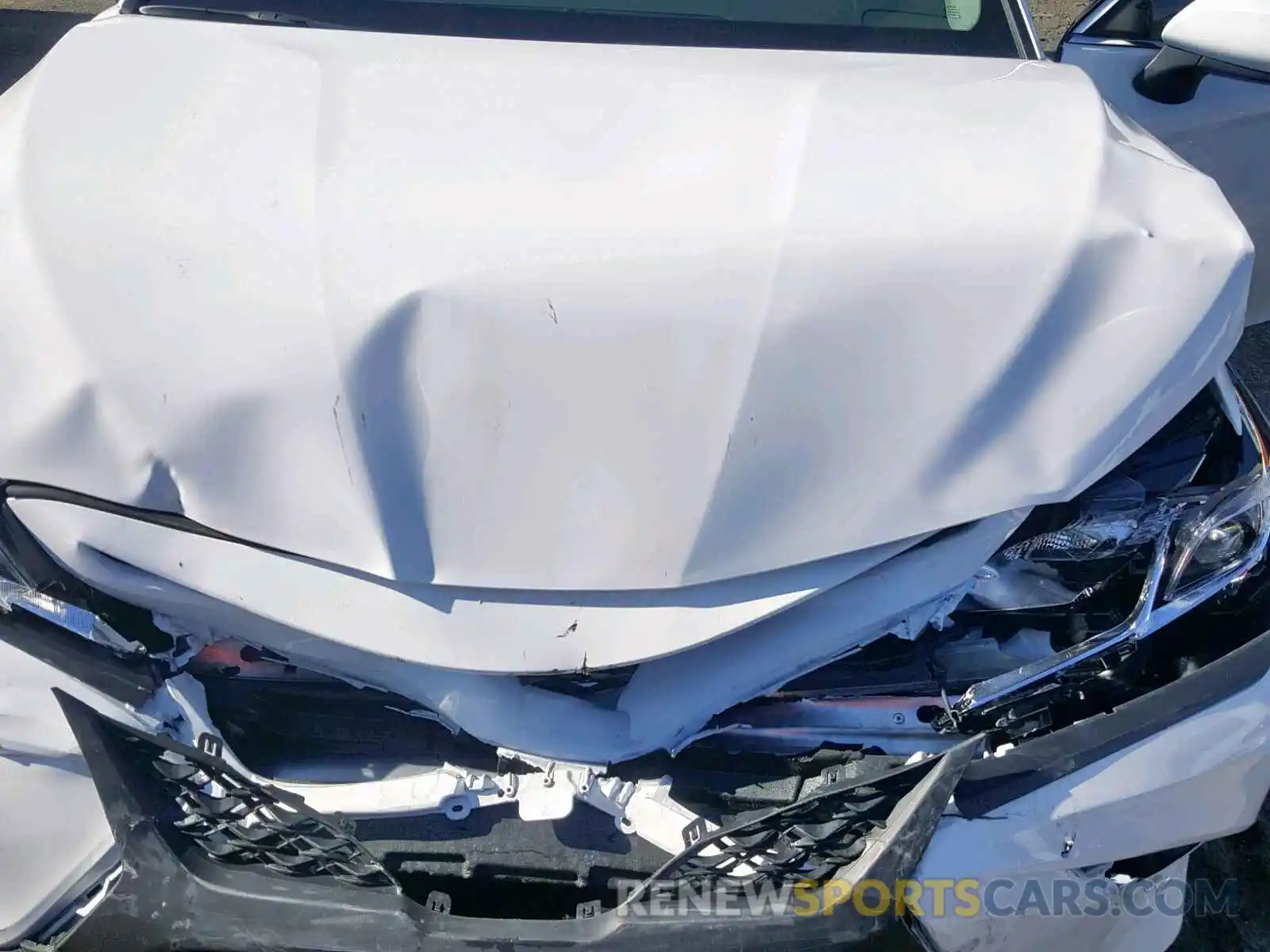 7 Photograph of a damaged car 4T1B11HKXKU188051 TOYOTA CAMRY 2019