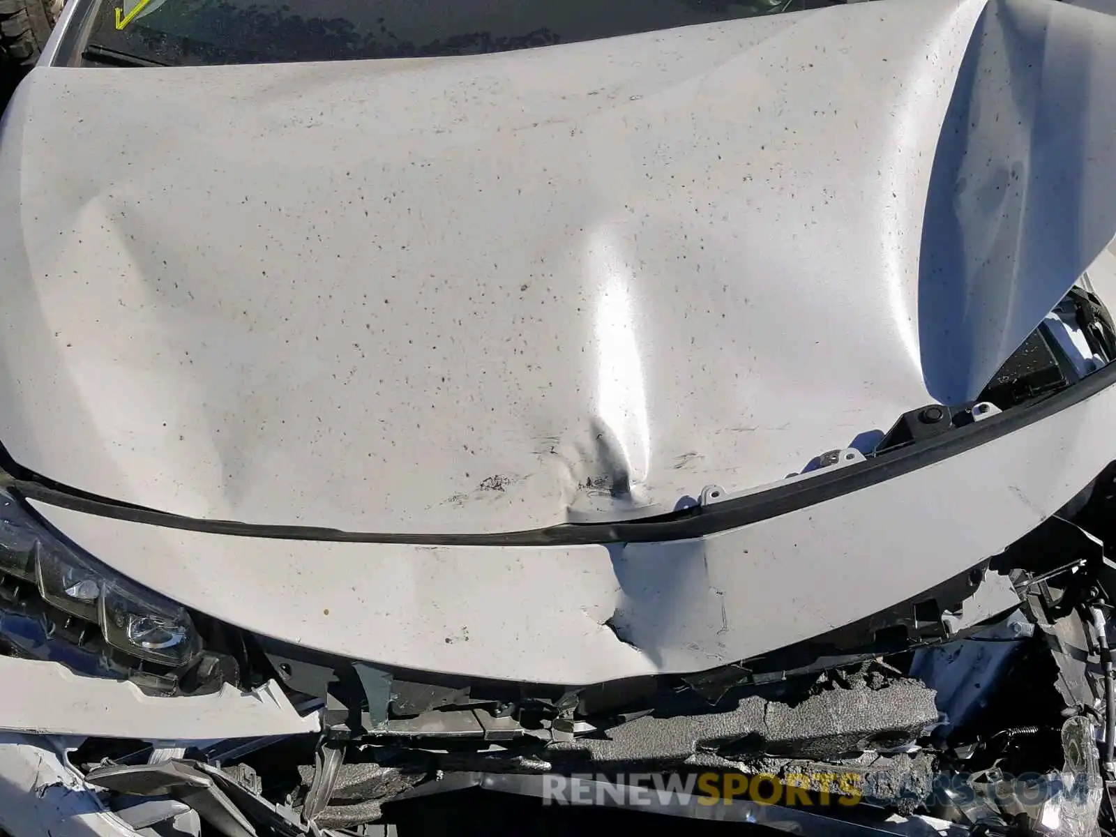 7 Photograph of a damaged car JTDKARFP6K3113659 TOYOTA PRIUS 2019