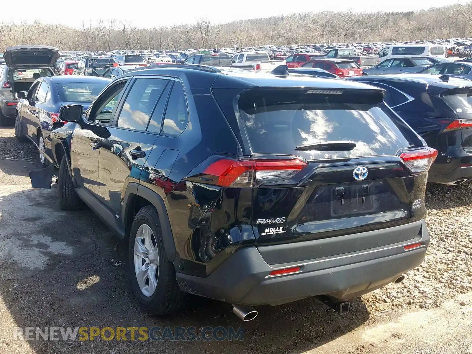 3 Photograph of a damaged car 2T3RWRFV2KW028474 TOYOTA RAV4 2019