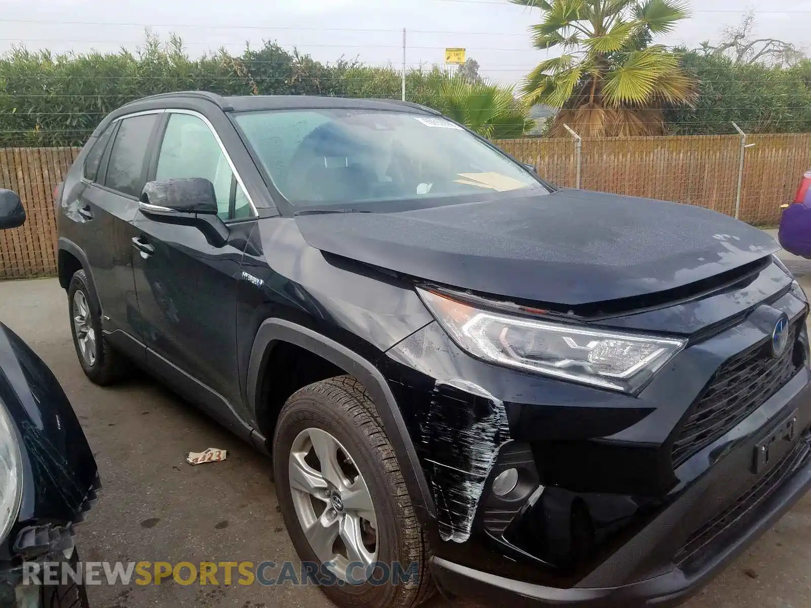 1 Photograph of a damaged car 2T3RWRFVXKW043207 TOYOTA RAV4 2019