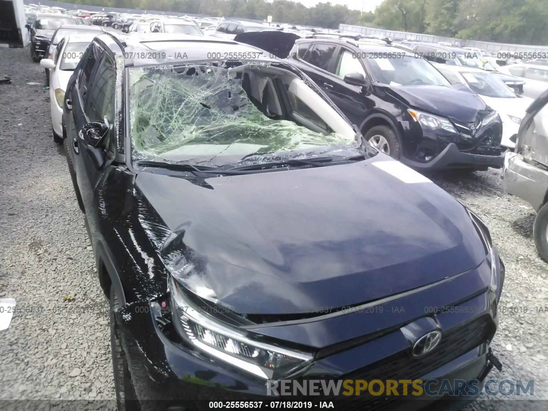 6 Photograph of a damaged car JTMA1RFV5KD021723 TOYOTA RAV4 2019