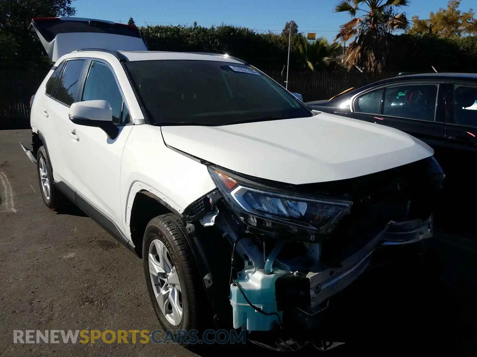 1 Photograph of a damaged car JTMP1RFVXKD025468 TOYOTA RAV4 2019