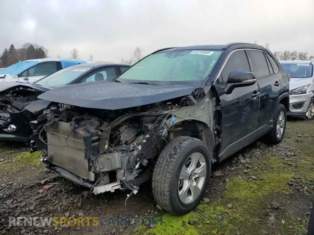 1 fotografías del automóvil dañado JTMRWRFV1KD043271 TOYOTA RAV4 2019