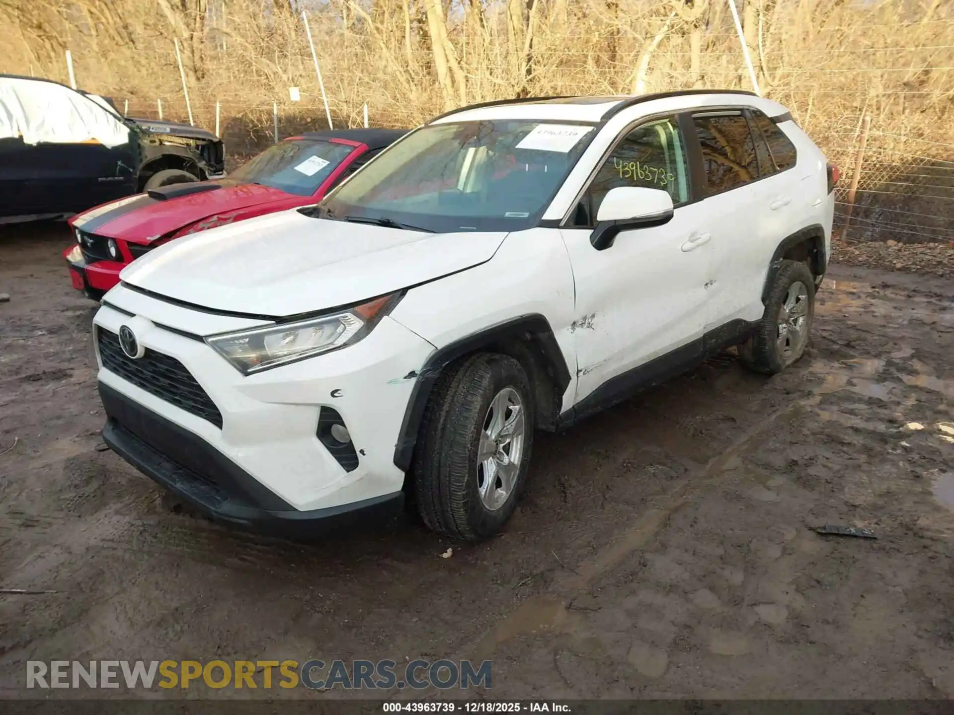 2 Photograph of a damaged car 2T3P1RFV8MC256201 TOYOTA RAV4 2021