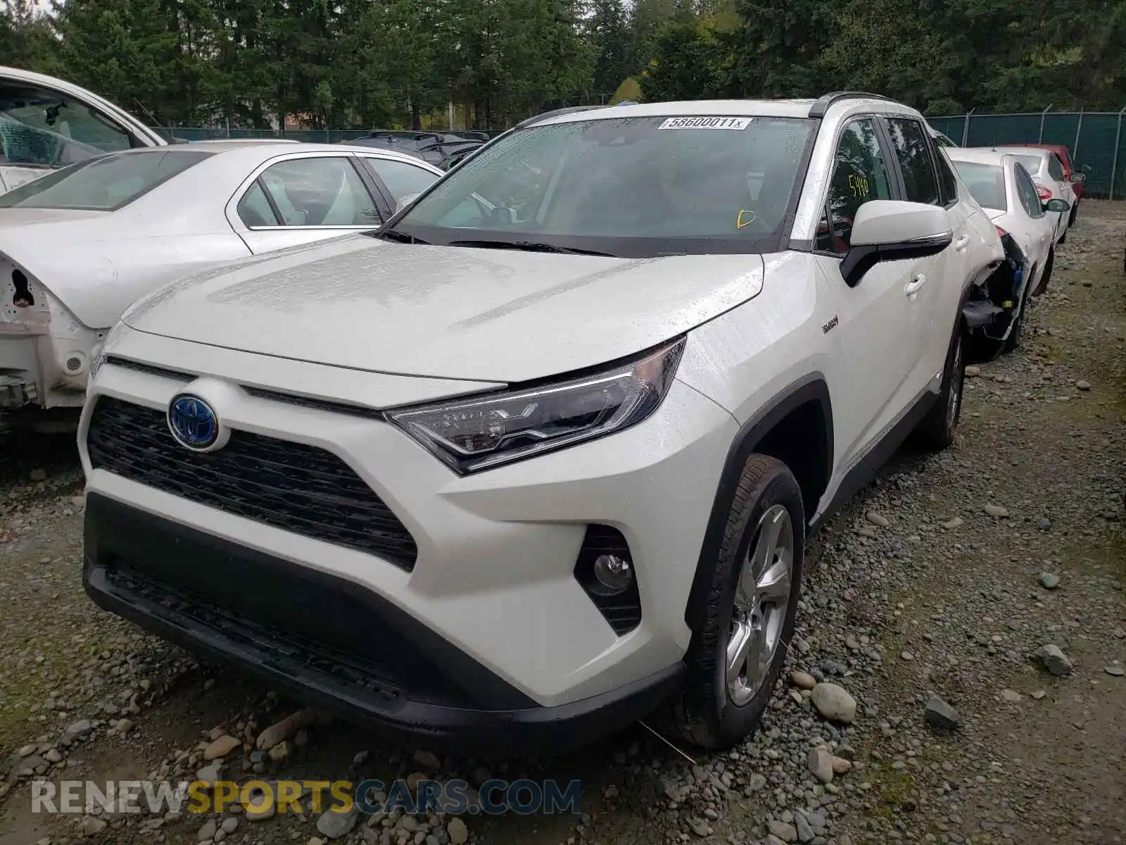 2 Photograph of a damaged car 4T3B6RFV4MU024950 TOYOTA RAV4 2021