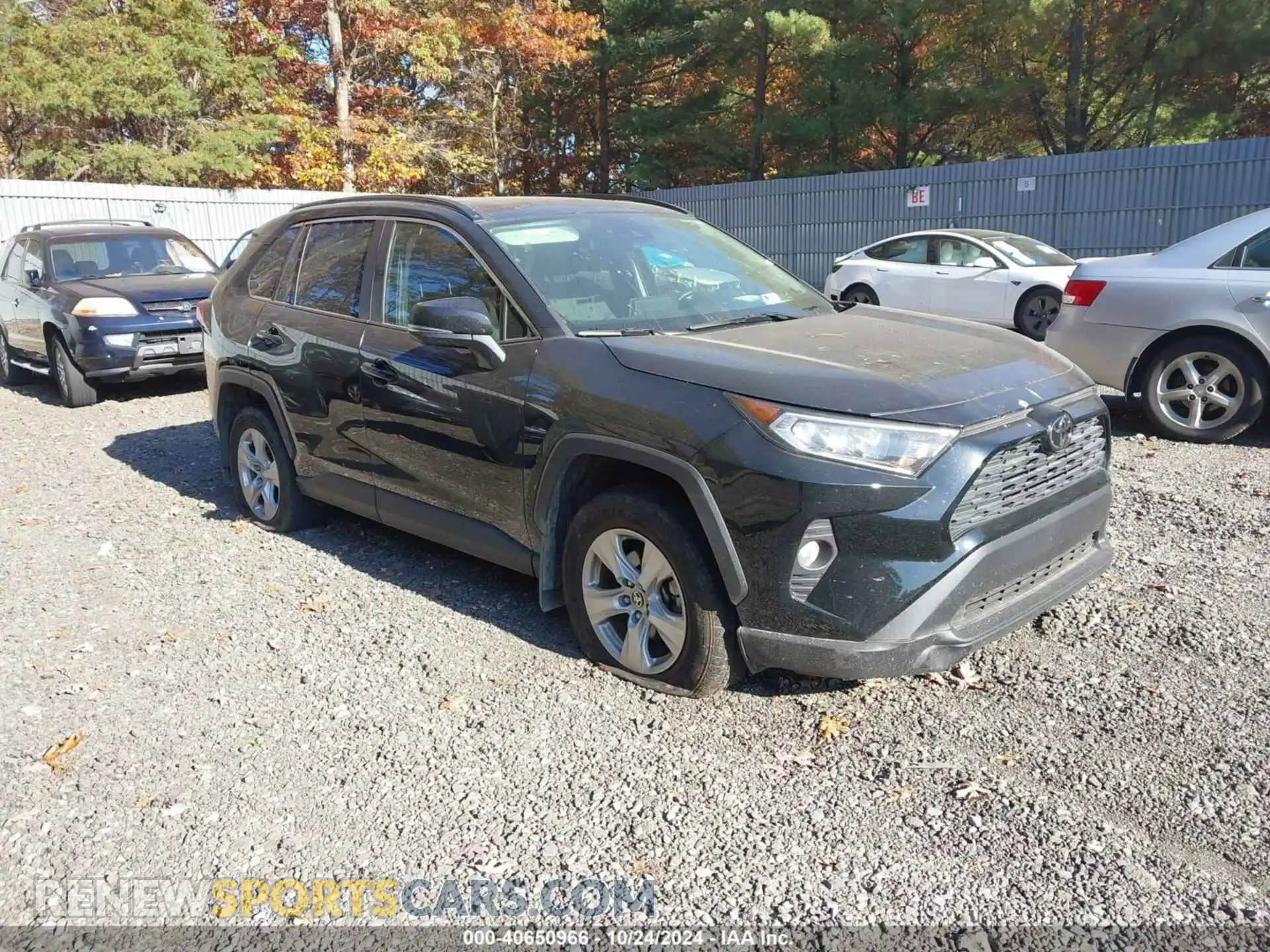 1 Photograph of a damaged car JTMP1RFV5MD078856 TOYOTA RAV4 2021