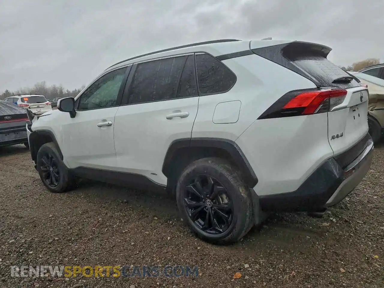 2 Photograph of a damaged car 2T34WRFV3PW177929 TOYOTA RAV4 2023