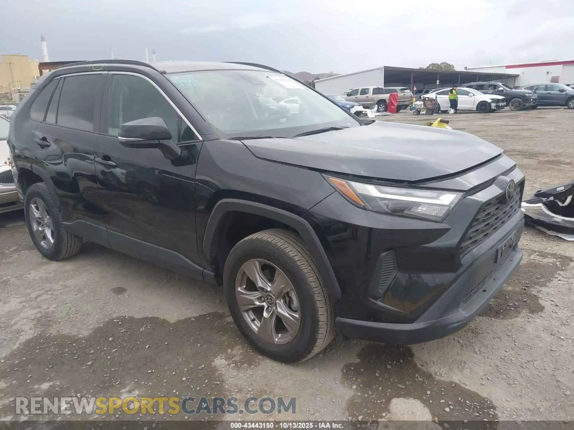 1 Photograph of a damaged car 2T3P1RFV4PC338320 TOYOTA RAV4 2023
