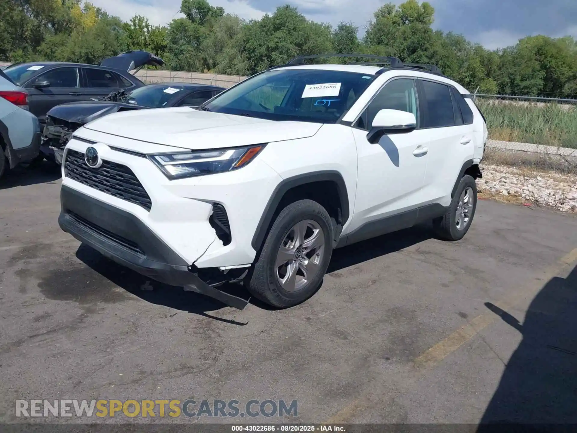 2 Photograph of a damaged car 2T3P1RFV6PC348086 TOYOTA RAV4 2023