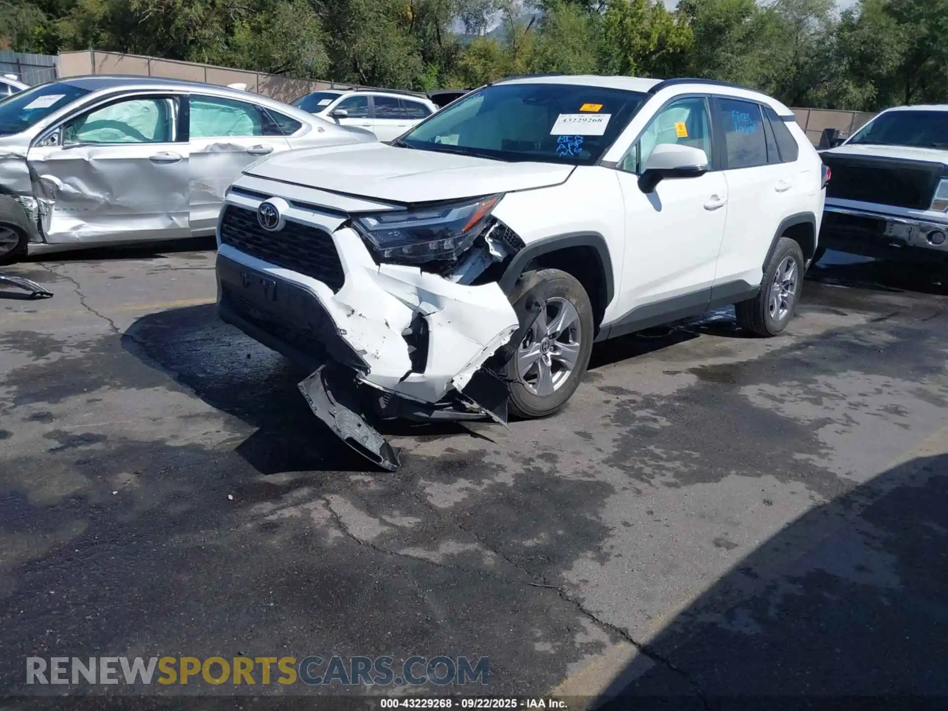 2 Photograph of a damaged car 2T3P1RFV5RW438525 TOYOTA RAV4 2024