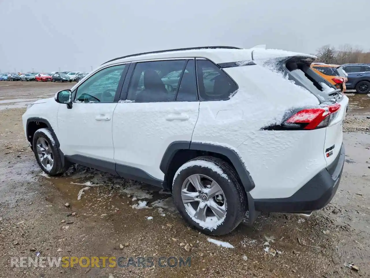2 Photograph of a damaged car 2T3P1RFV6RW456564 TOYOTA RAV4 2024