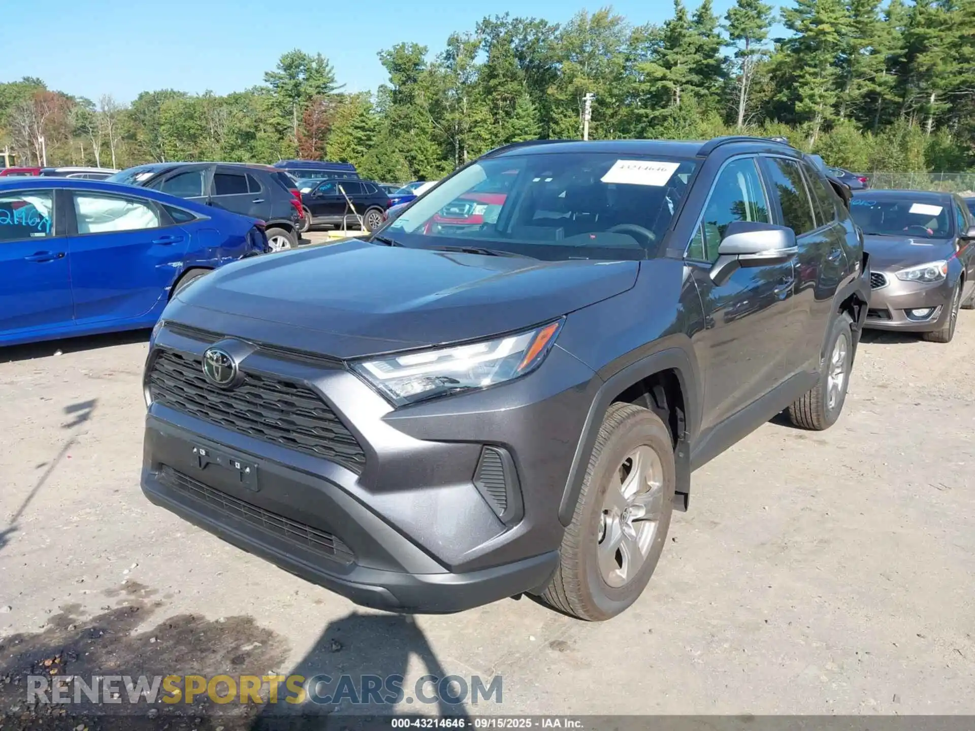 2 Фотография поврежденного автомобиля 2T3P1RFV6SC540715 TOYOTA RAV4 2025