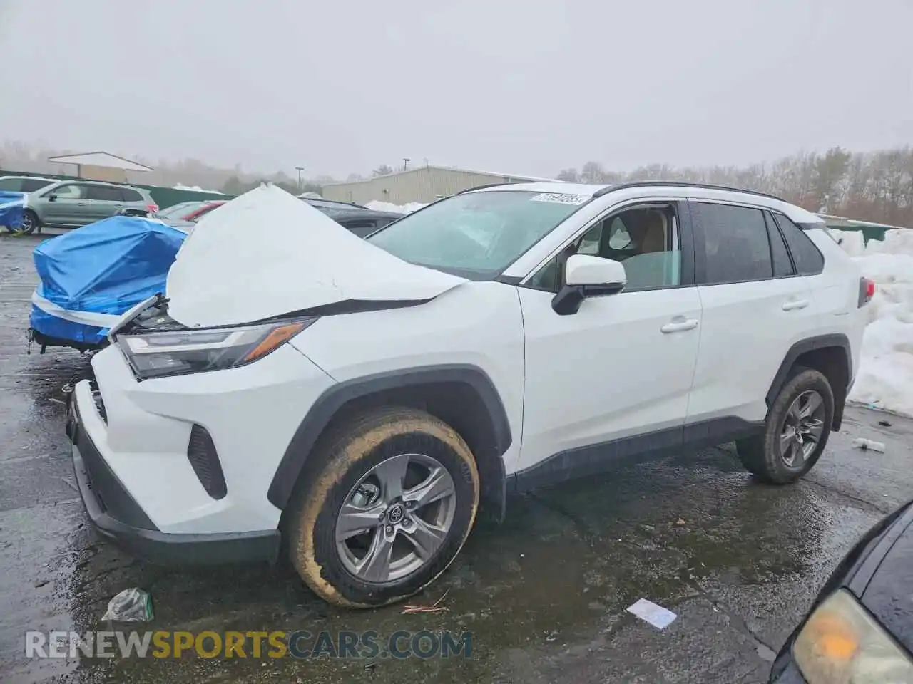 1 Photograph of a damaged car 2T3P1RFV6SW597804 TOYOTA RAV4 2025