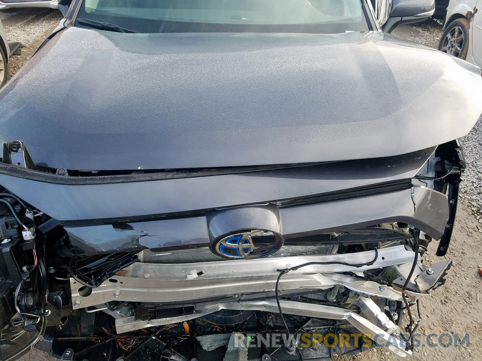7 Photograph of a damaged car 2T3RWRFV5KW022409 TOYOTA RAV4 XLE 2019