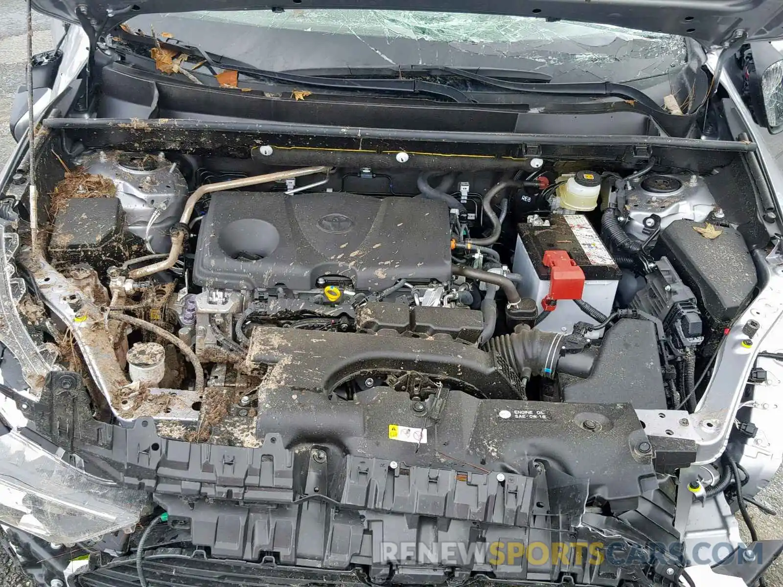 7 Photograph of a damaged car JTMC1RFVXKD018695 TOYOTA RAV4 XLE P 2019