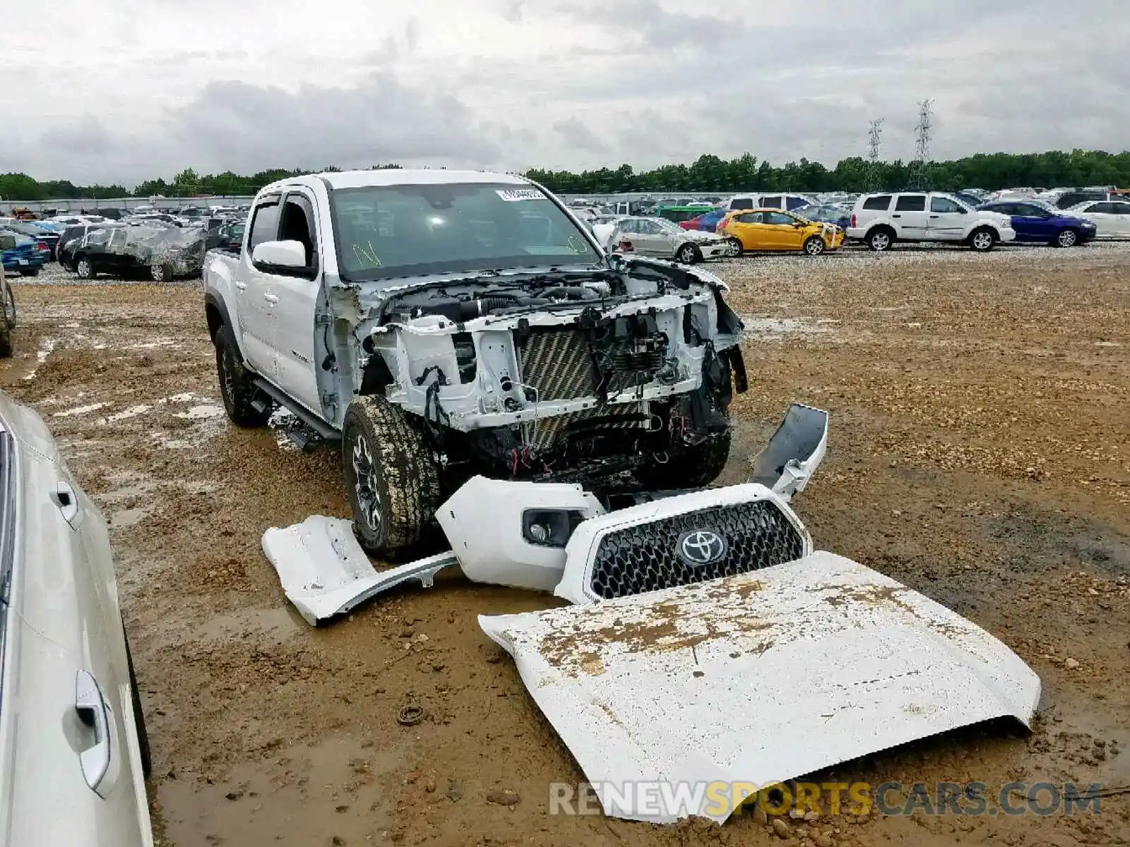 1 Photograph of a damaged car 3TMCZ5AN4KM202916 TOYOTA TACOMA DOU 2019