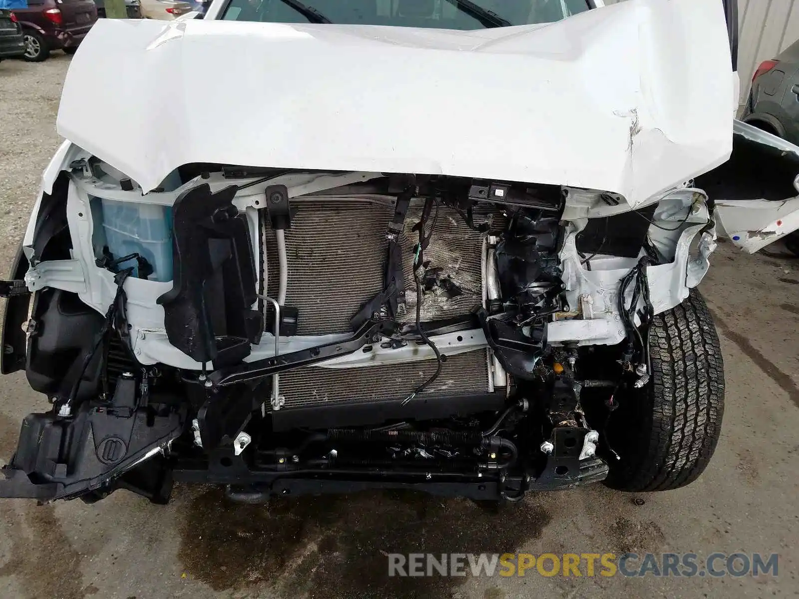 7 Photograph of a damaged car 5TFCZ5ANXKX169897 TOYOTA TACOMA DOU 2019
